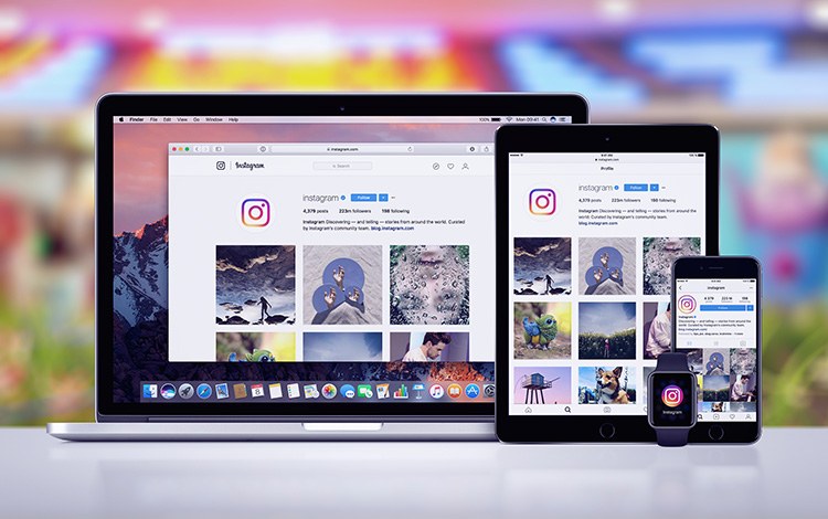 Instagram Trademark and Copyright Information