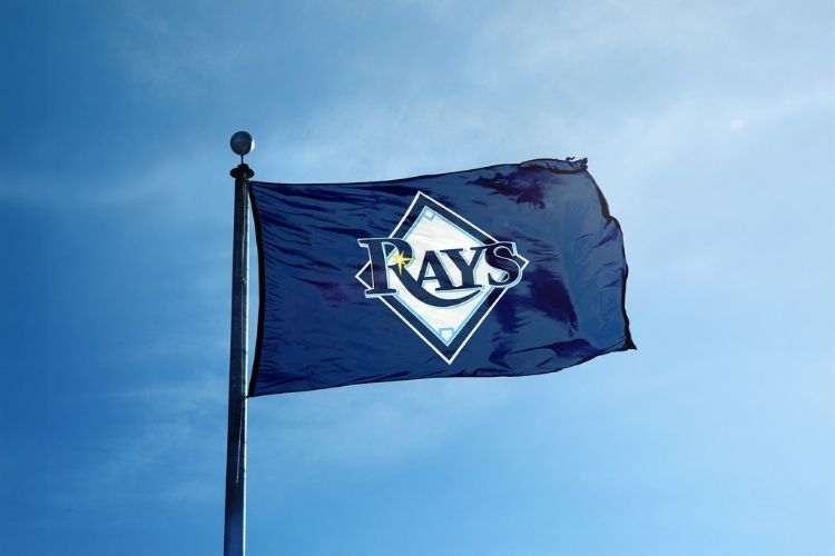 TAMPA BAY DEVIL RAYS - Tampa Bay Rays Baseball Ltd. Trademark