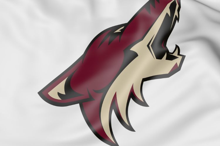 Why the Coyotes are moving to Seattle